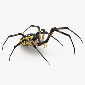 Writing Spider