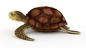 Sea Turtles 3D model
