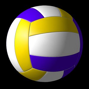 volley ball max