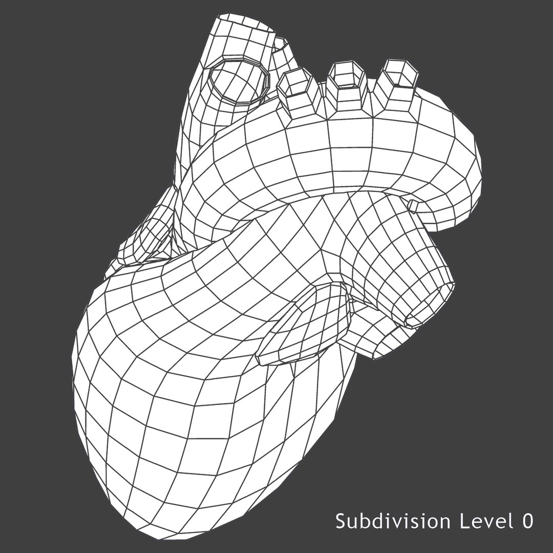 3d male body anatomy circulatory model https://p.turbosquid.com/ts-thumb/w5/gNNOXi/059NVdyN/h1/jpg/1444969673/1920x1080/fit_q87/32449bdb69fa8f487b85821f44af1bb2a262e518/h1.jpg
