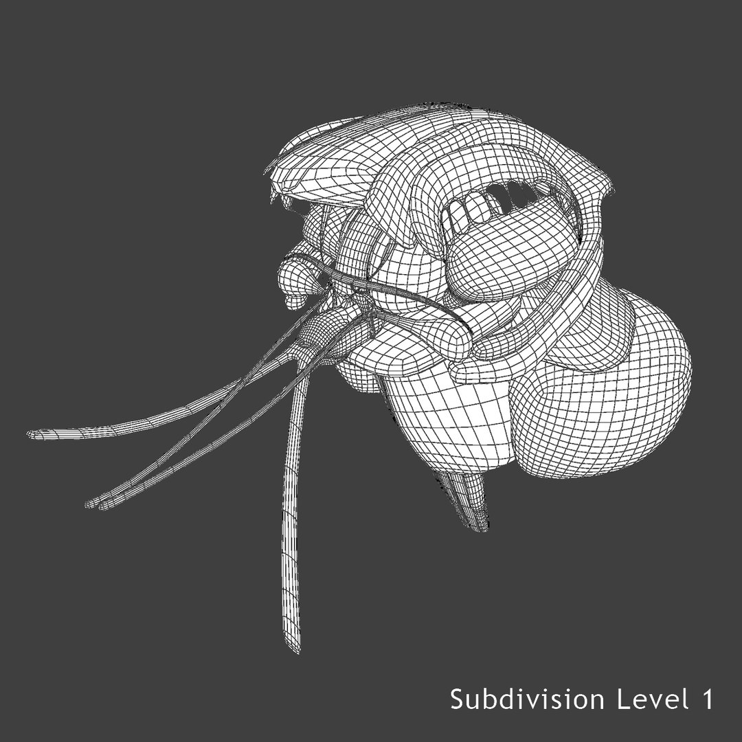 3d male body anatomy circulatory model https://p.turbosquid.com/ts-thumb/w5/gNNOXi/Enwfqrez/b6/jpg/1444969666/1920x1080/fit_q87/d3af3264ce39cef801ab389ad86efb8885ece205/b6.jpg