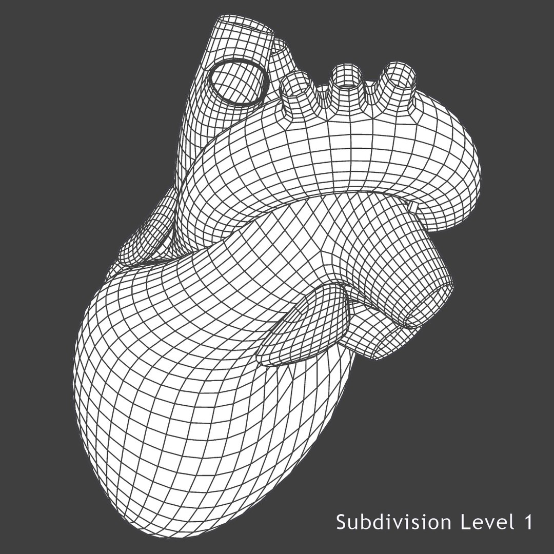 3d male body anatomy circulatory model https://p.turbosquid.com/ts-thumb/w5/gNNOXi/ILScpRd2/h2/jpg/1444969673/1920x1080/fit_q87/63c02159f02c7ed56c1cc089d64f520615625aaf/h2.jpg