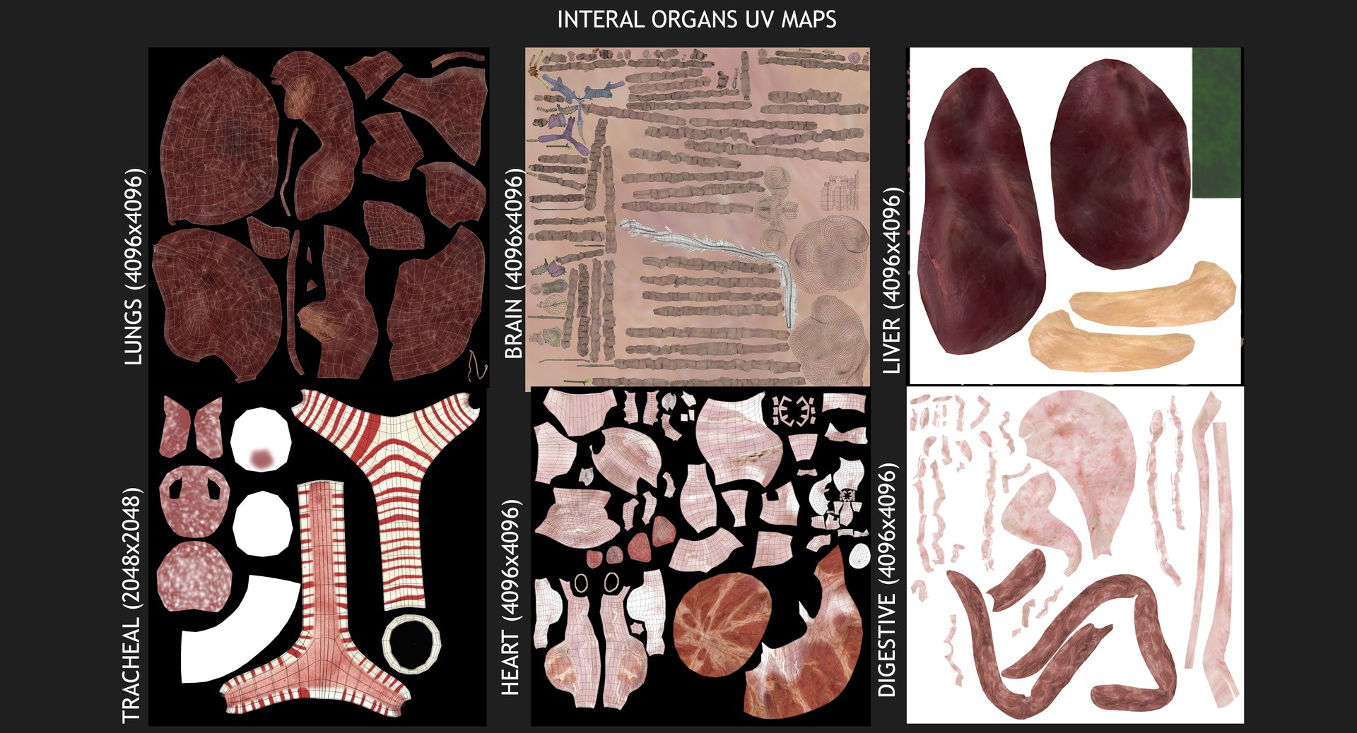3d male body anatomy circulatory model https://p.turbosquid.com/ts-thumb/w5/gNNOXi/arV2QBwI/uv_systems/jpg/1444969657/1920x1080/fit_q87/501d602f56635589168c6a770b416012b5261dc9/uv_systems.jpg