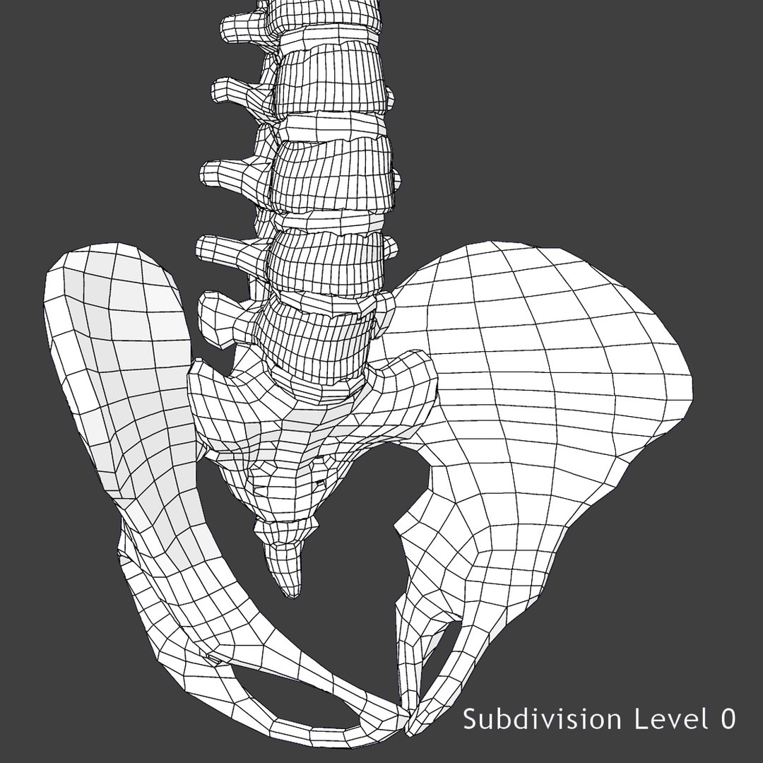 3d male body anatomy circulatory model https://p.turbosquid.com/ts-thumb/w5/gNNOXi/dXlCek6U/i/jpg/1444969692/1920x1080/fit_q87/557b77563aa2be24ca2c5a279ccfbe87b23becbc/i.jpg