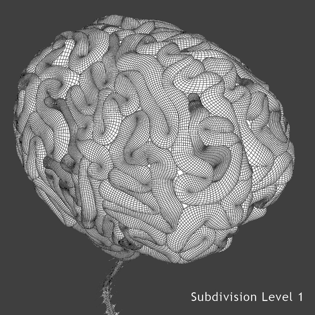 3d male body anatomy circulatory model https://p.turbosquid.com/ts-thumb/w5/gNNOXi/enI41jUM/b2/jpg/1444969666/1920x1080/fit_q87/32ae15b7e7ac63be3b8853705cca6207f5fbcd7a/b2.jpg