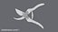 Pruning Shears