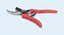 Pruning Shears