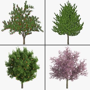 fruit tree 3d max