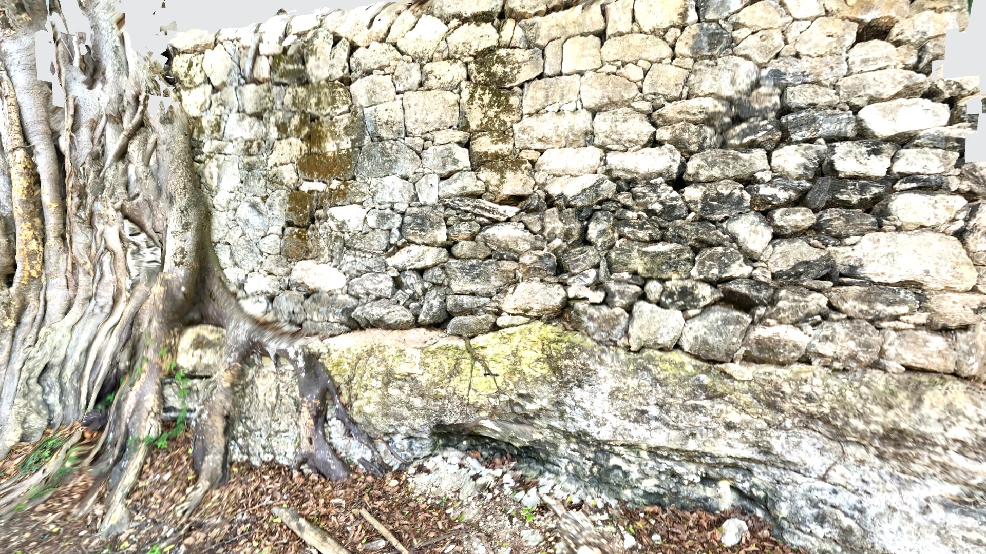 Wall Tree 3D https://p.turbosquid.com/ts-thumb/w5/sNhRMk/oZ/walltreecolor2/jpg/1664902198/1920x1080/fit_q87/b2610d875ead9c03ba062dd54e58fbcc053c580d/walltreecolor2.jpg