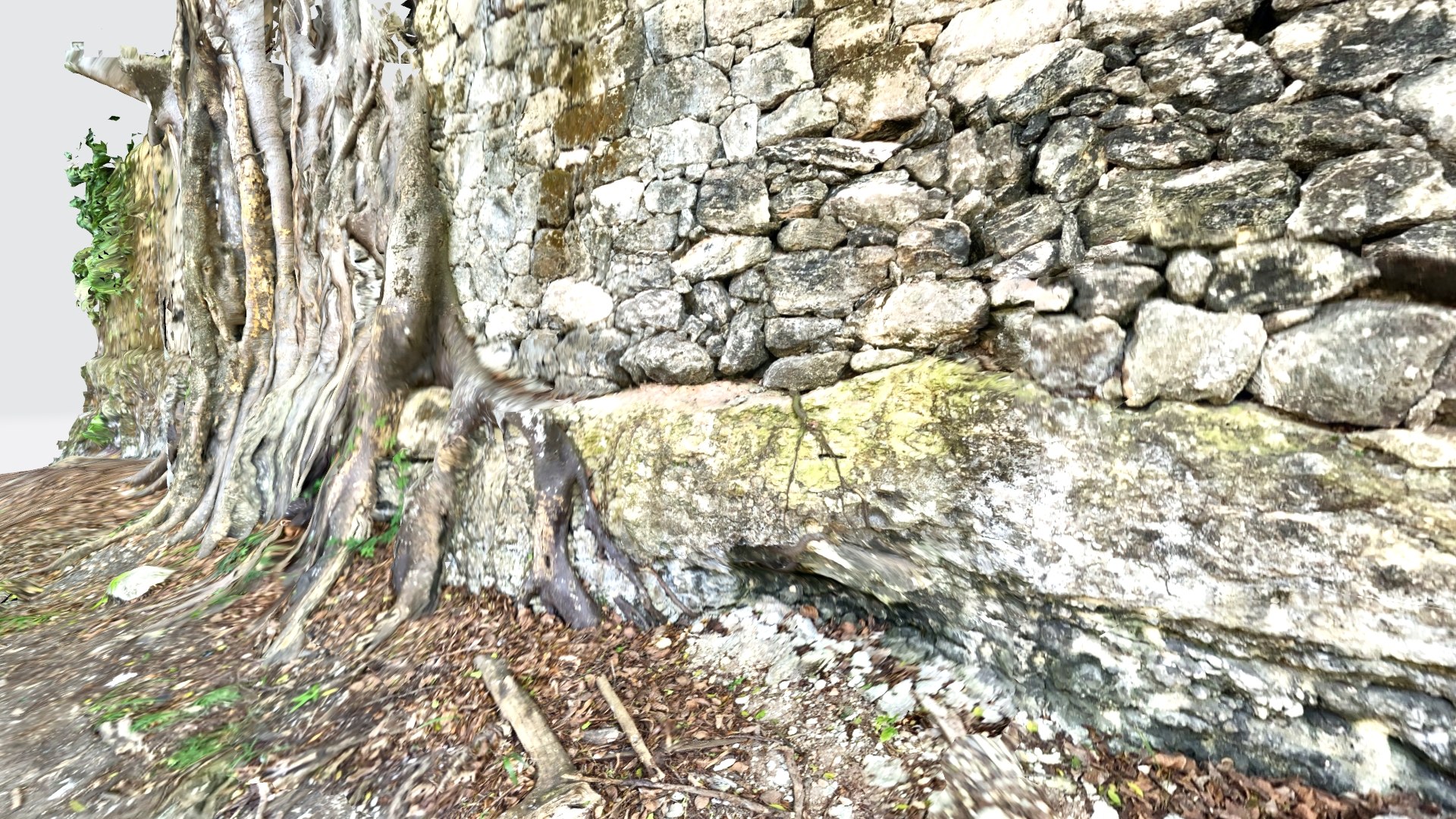 Wall Tree 3D https://p.turbosquid.com/ts-thumb/w5/sNhRMk/t2/walltreecolor4/jpg/1664902514/1920x1080/fit_q87/de9b0ebc6cd444b594ae637212651f8b43f2500f/walltreecolor4.jpg