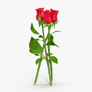 rose bouquet 3d max