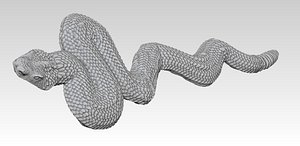 Snake