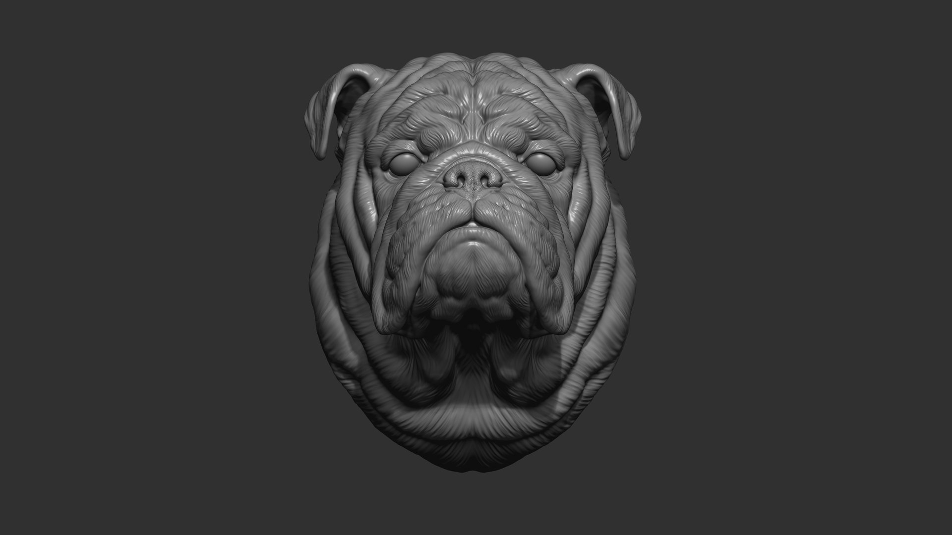 3D Model English Bulldog Bust TurboSquid 2134817