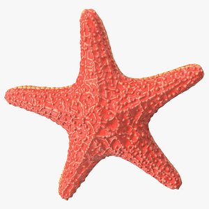 3D Starfish Red Fur