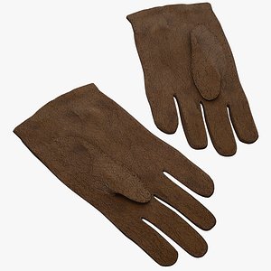 Leather Gloves