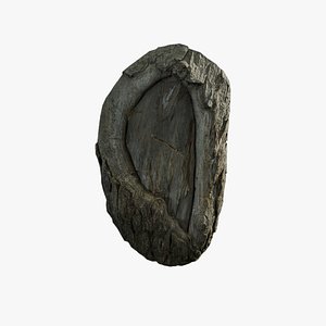 Anydrafts Salix matsudana Burl 06 3D model