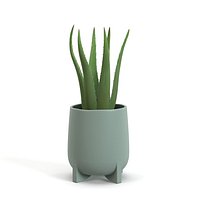 Stoneware Footed Aloe vera Planter PBR