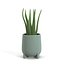 Stoneware Footed Aloe vera Planter PBR