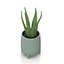 Stoneware Footed Aloe vera Planter PBR