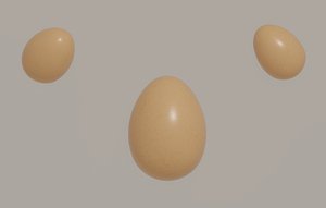 Egg model