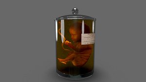 3D Cadaver Specimen