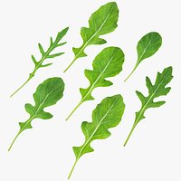 Arugula