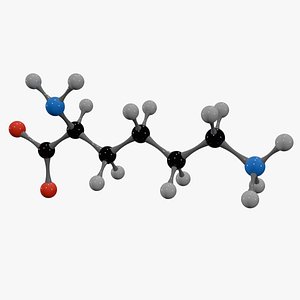 3D Lysine Molecule model