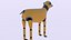 Cane robotico III PBR 2