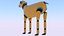 Cane robotico III PBR 2