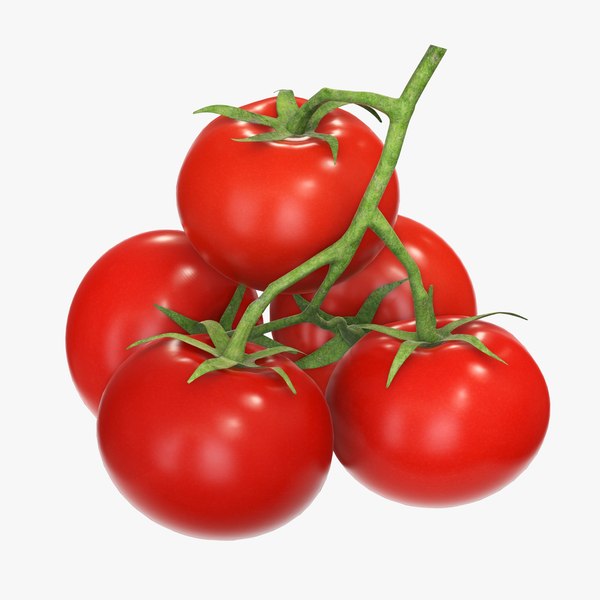 3D branch tomato model