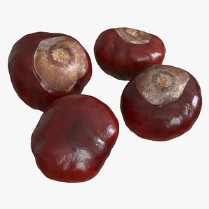 photogrammetry horse chestnuts 3D model