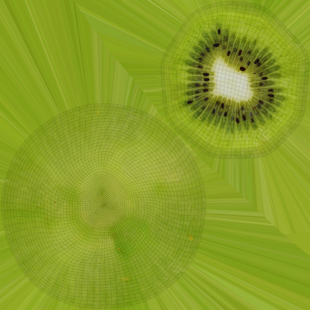 3D Peeled Kiwi Halves https://p.turbosquid.com/ts-thumb/w7/In0Vhs/BW/model_0016/png/1770921696/1920x1080/fit_q87/cc644269bb19406f3af8ca12f56cd484b51a7270/model_0016.jpg