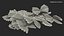Farfalle