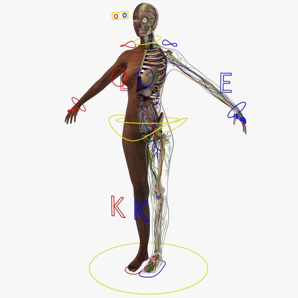 3D ultimate rigged african american model