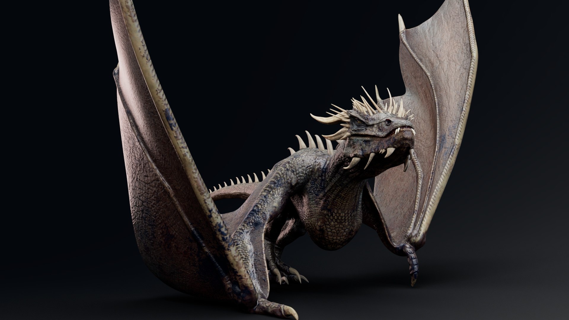 Wyvern Type Dragon 1 3D model - TurboSquid 2059565