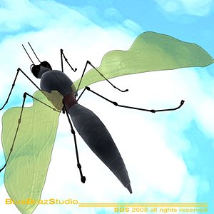mosquito cartoon 3d model