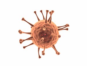3D model animation corona virus