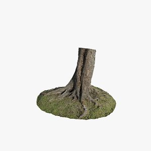 Anydrafts Betula albosinensis Trunk 04 3D model