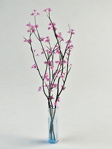 max flowering sacura glass vase