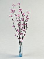 sacura branch in vase