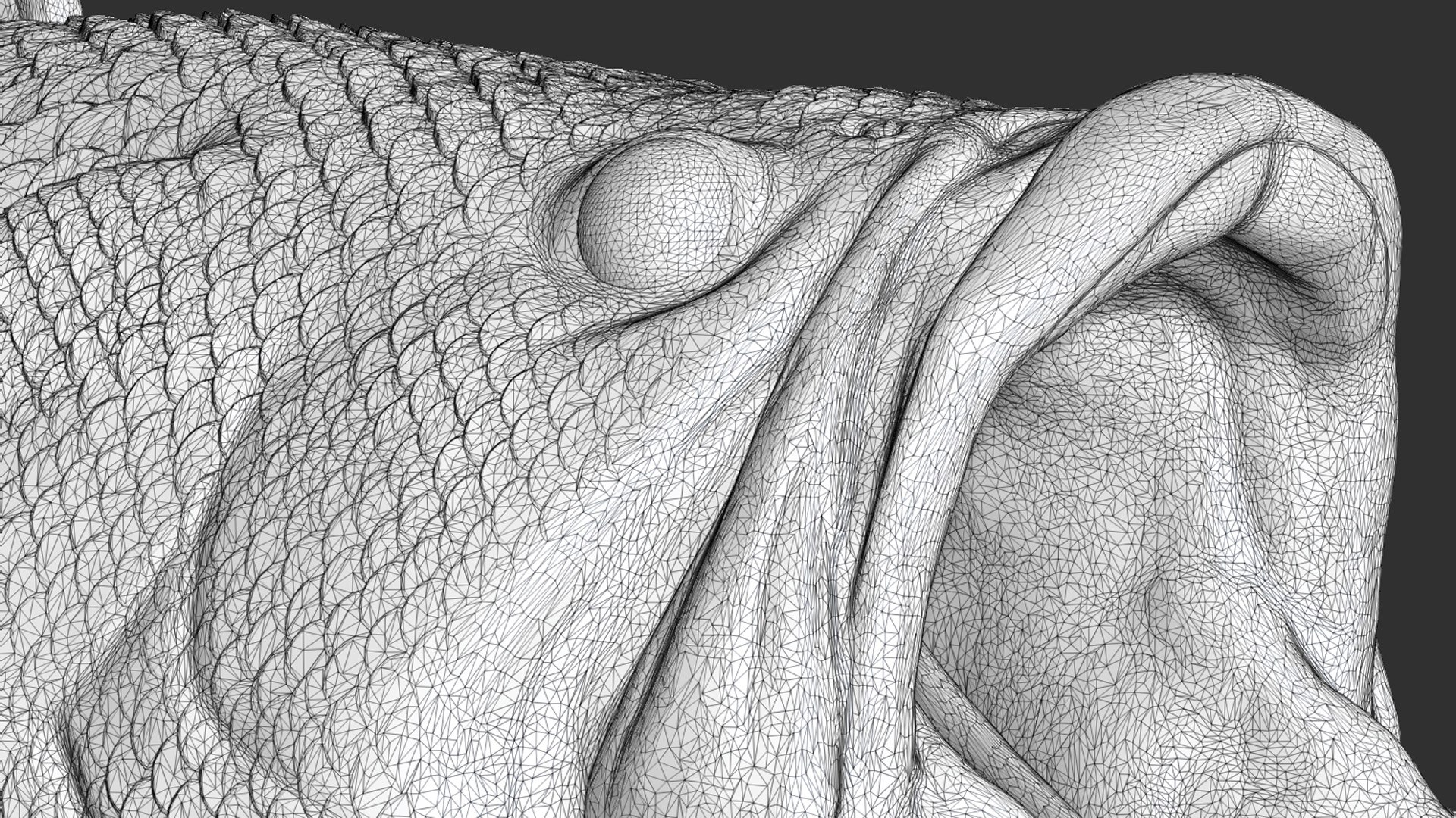 Striking Largemouth Bass 3D https://p.turbosquid.com/ts-thumb/w8/3WH9DT/0Q/63/jpg/1771353885/1920x1080/fit_q87/5ebaaa6763cc414b17310511504decaf78baddef/63.jpg