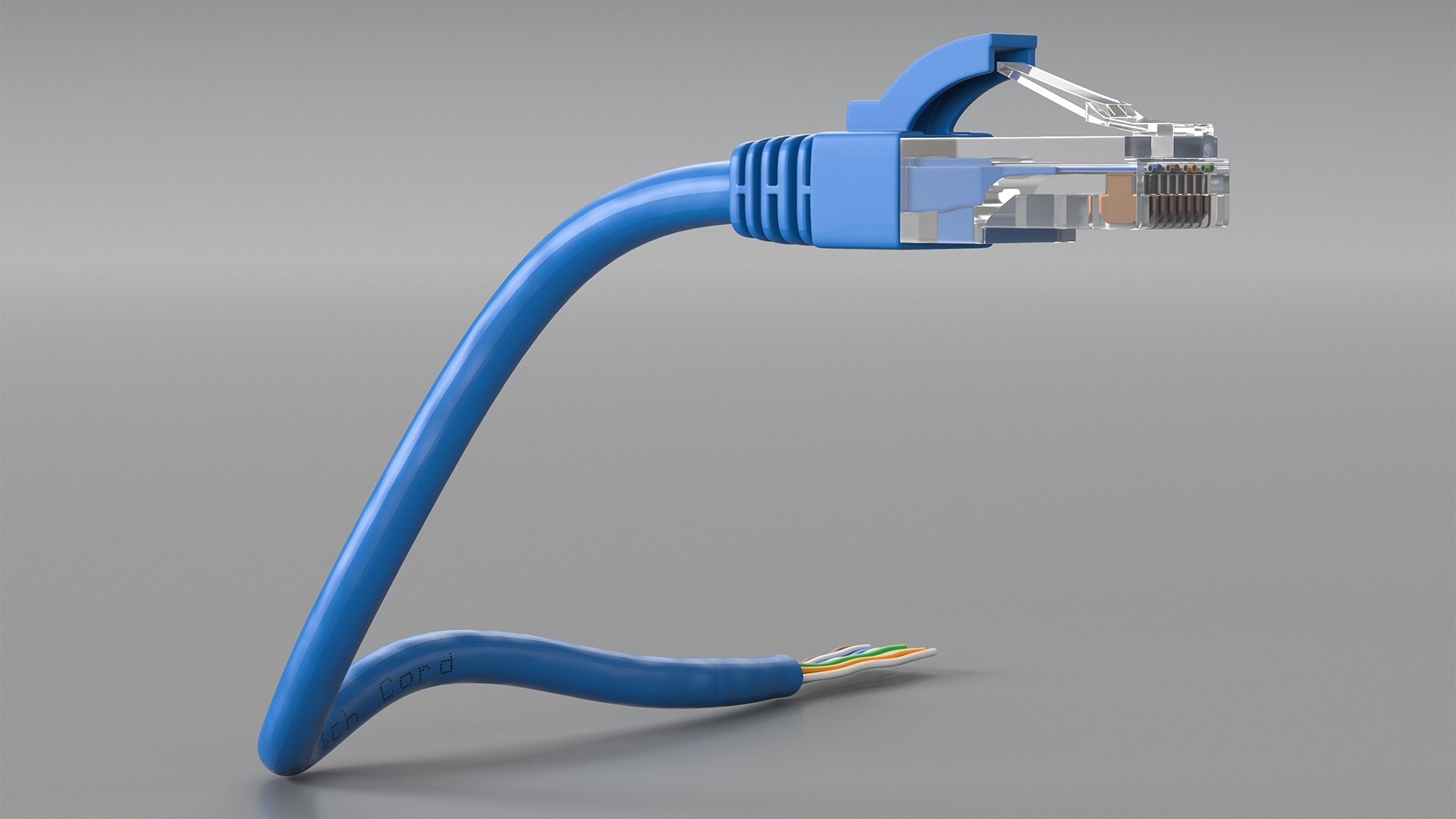RJ45 Cable Cut 3D model preview