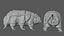 3D Rigged Tardigrade water bear