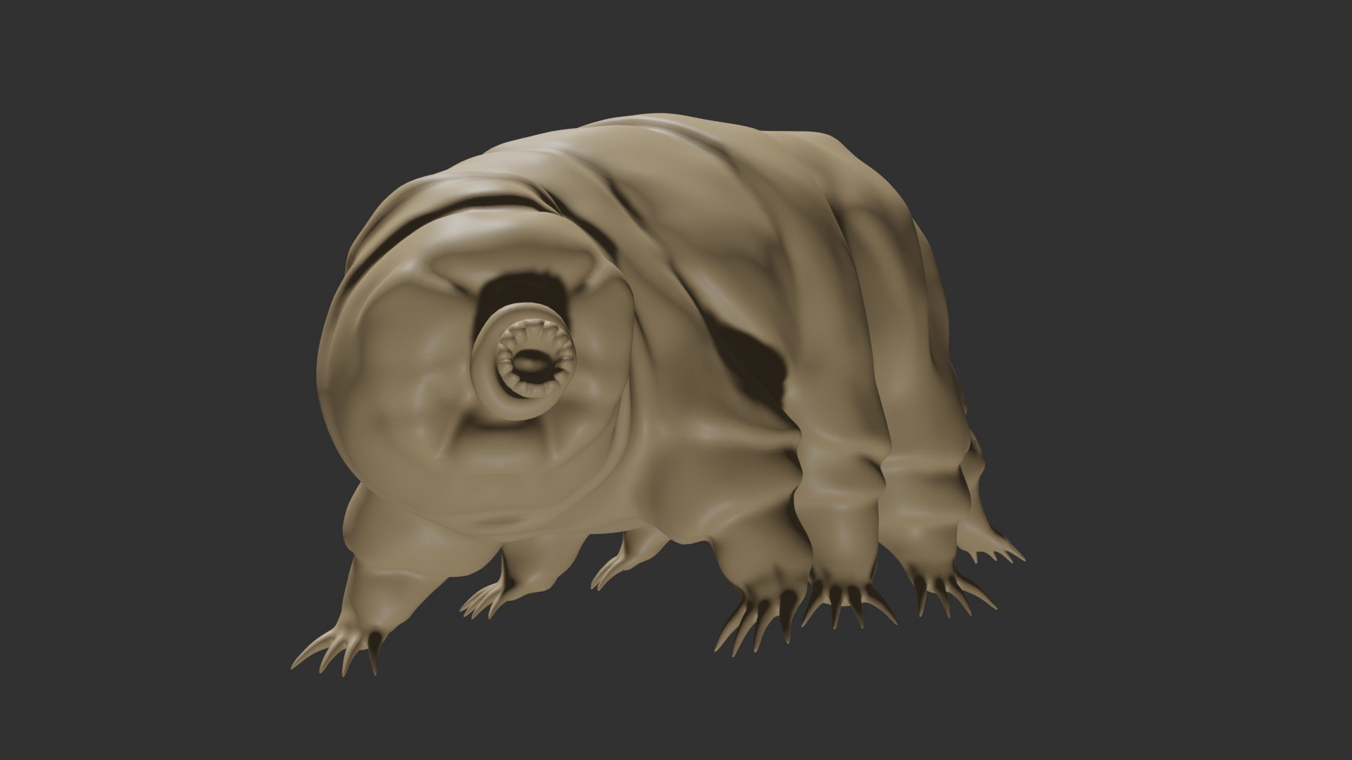 3D Rigged Tardigrade water bear https://p.turbosquid.com/ts-thumb/w8/7IFTZ4/Cm/14/jpg/1629983978/1920x1080/fit_q87/1ab75ffe3c3eff0965d05e5a15c629c556ae67fd/14.jpg