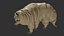 3D Rigged Tardigrade water bear