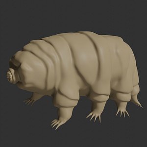 3D Rigged Tardigrade water bear