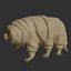 3D Rigged Tardigrade water bear