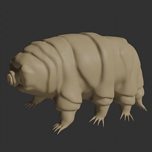 Rigged Tardigrade water bear