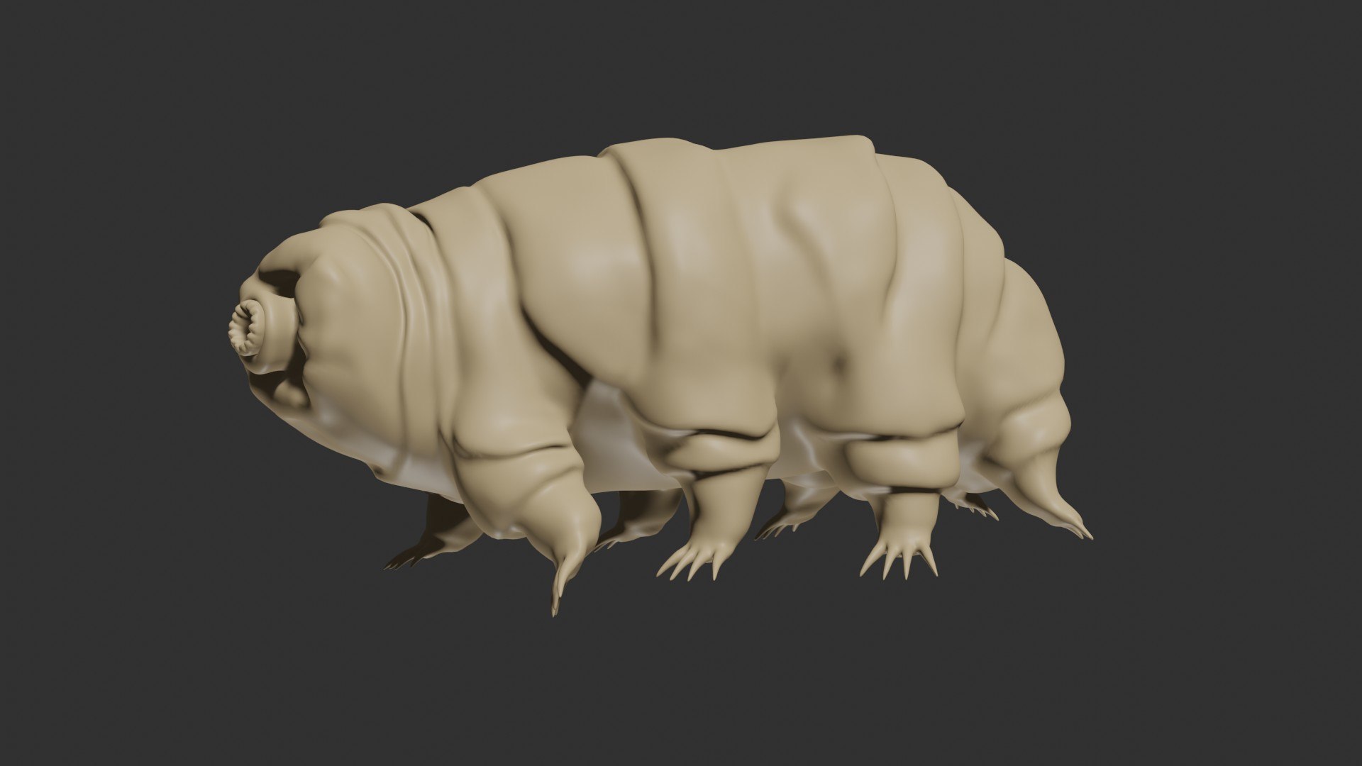 3D Rigged Tardigrade water bear https://p.turbosquid.com/ts-thumb/w8/7IFTZ4/br/12/jpg/1629983977/1920x1080/fit_q87/ced55921e2b221f23d85aae8f30aa52c7f542d57/12.jpg