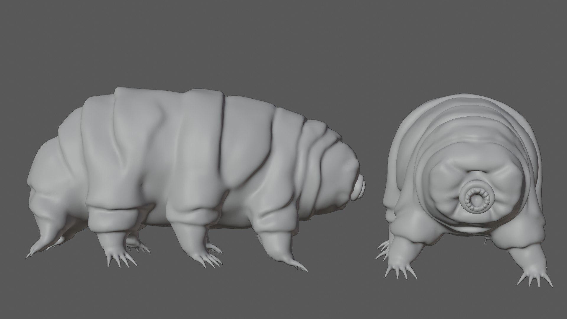3D Rigged Tardigrade water bear https://p.turbosquid.com/ts-thumb/w8/7IFTZ4/ix/17/jpg/1629983980/1920x1080/fit_q87/5a3c2de80fbb5295e9272c51e76c1e8f76a3dca8/17.jpg